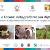 Saharawi: Newsletter n° 6 Progetto “Cibo e Lavoro”