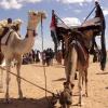 Viaggio di conoscenza nei Campi Saharawi
