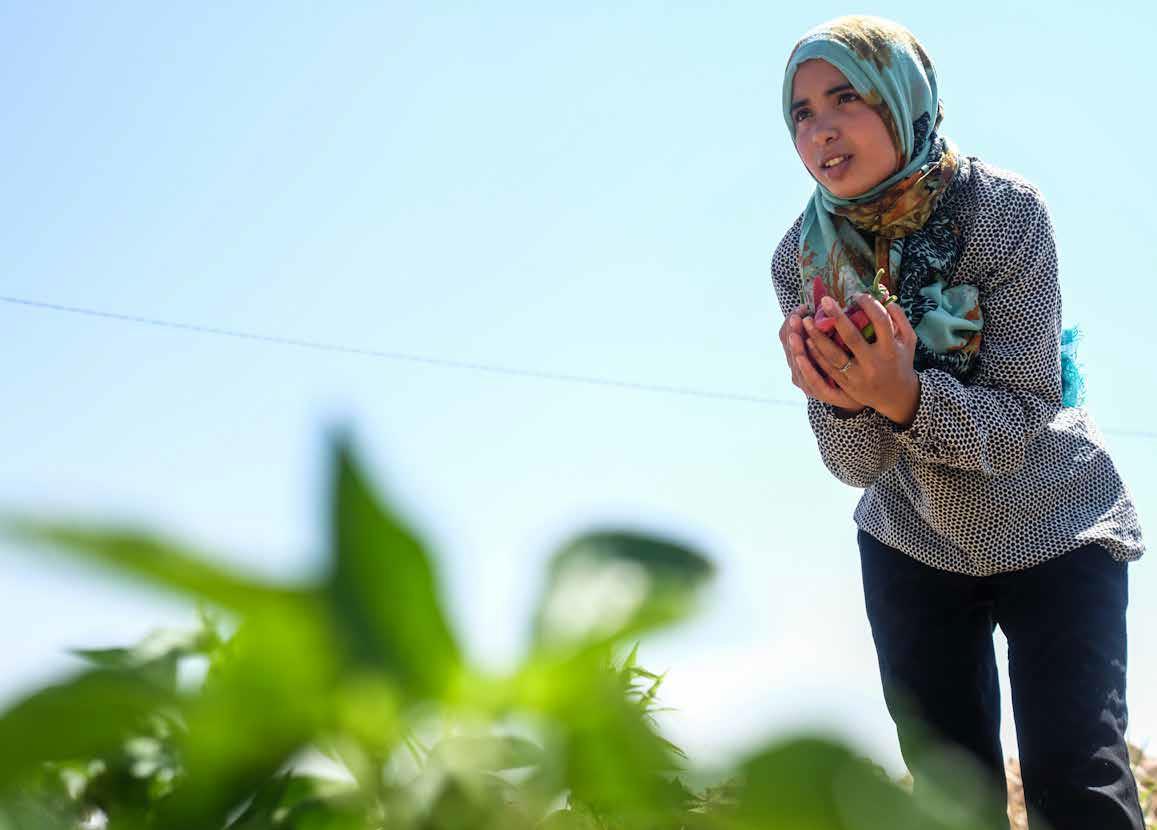 Annalisa Vandelli “I combattenti della resistenza”, Nexus ER in Tunisia