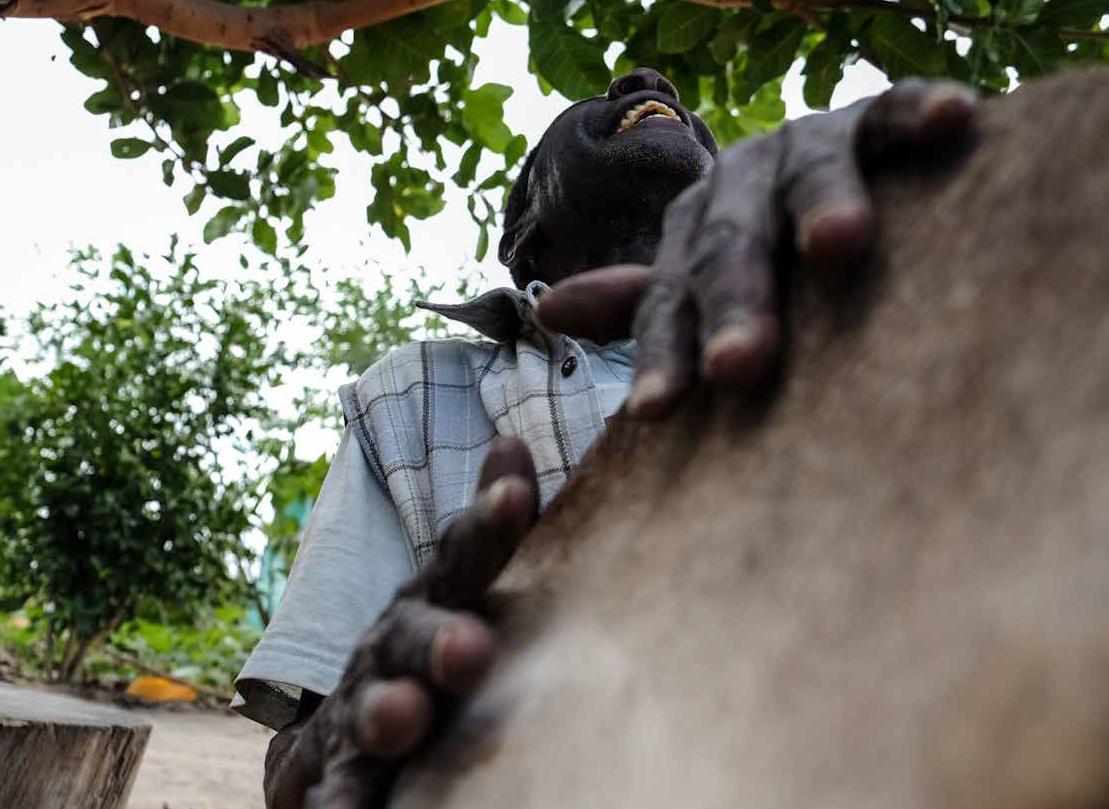 Annalisa Vandelli “Mozambico. L’età del ferro, delle leghe leggere e della bellezza”, Nexus ER in Mozambico