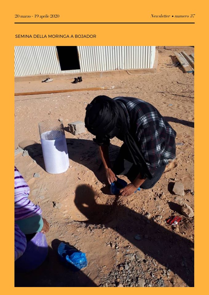 Sahrawi: newsletter n. 37 “Cibo e Lavoro: autoprodurre con dignità”