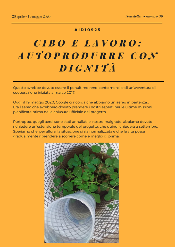 Sahrawi: newsletter n. 38 “Cibo e Lavoro: autoprodurre con dignità”