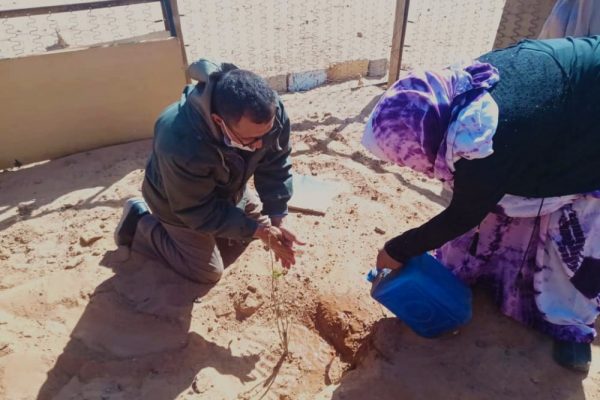 Fichi e melograni nel deserto