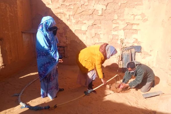 Fichi e melograni nel deserto