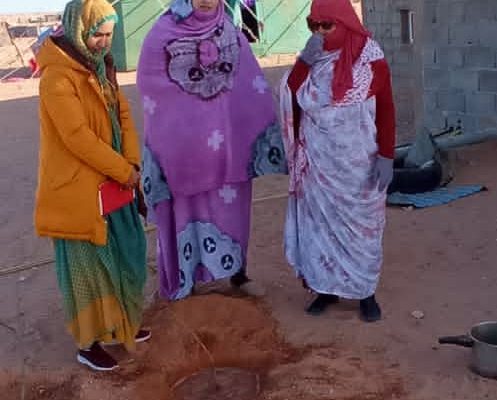 Fichi e melograni nel deserto