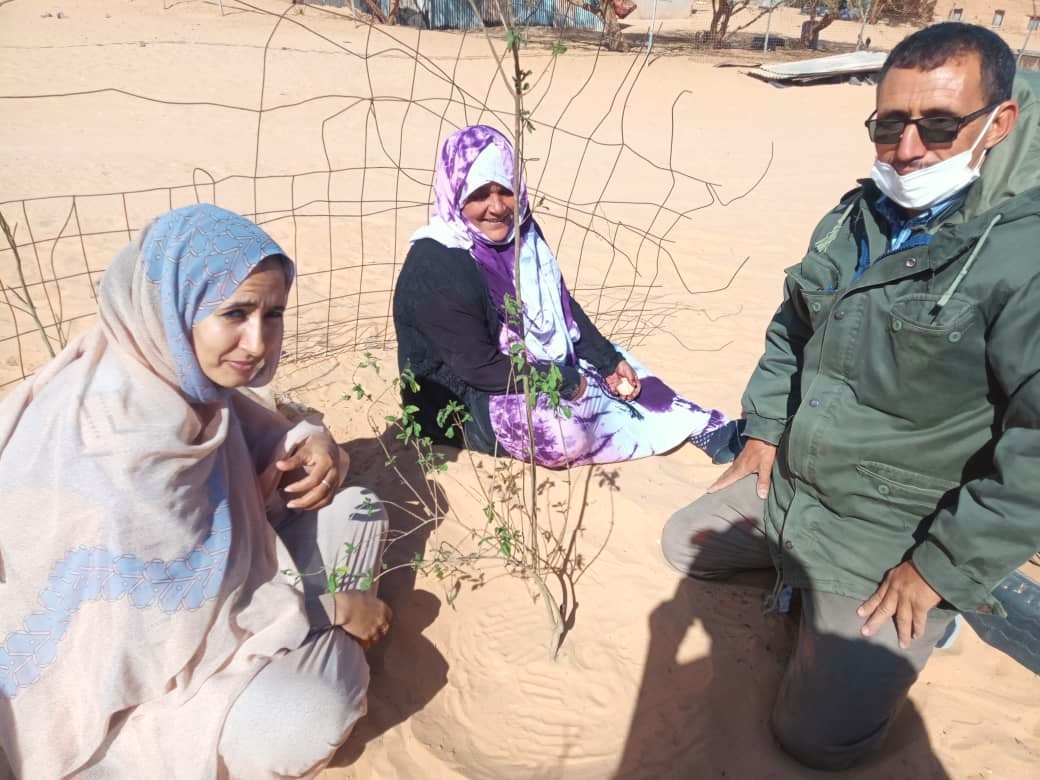 Fichi e melograni nel deserto: un’integrazione di nutrienti per la dieta nei campi profughi saharawi