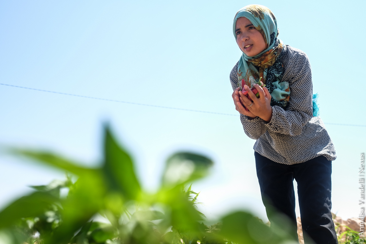 GEMMA – Gender empowerment, misure di protezione e messa in rete delle lavoratrici agricole in Tunisia