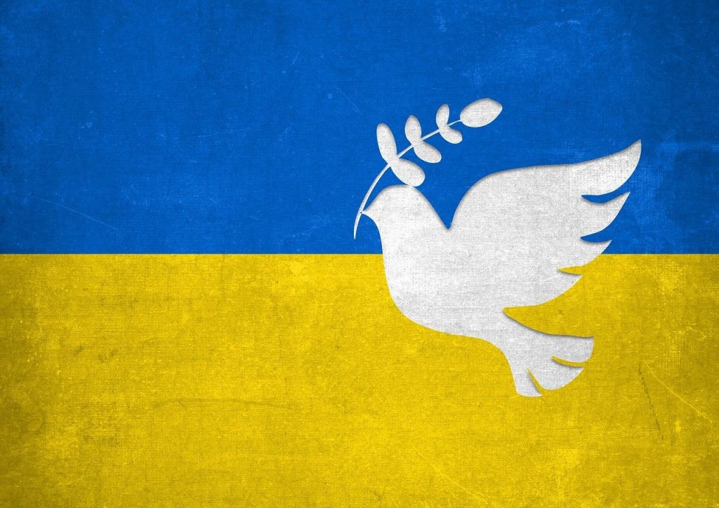 NEXUS - Raccolta Fondi Ucraina