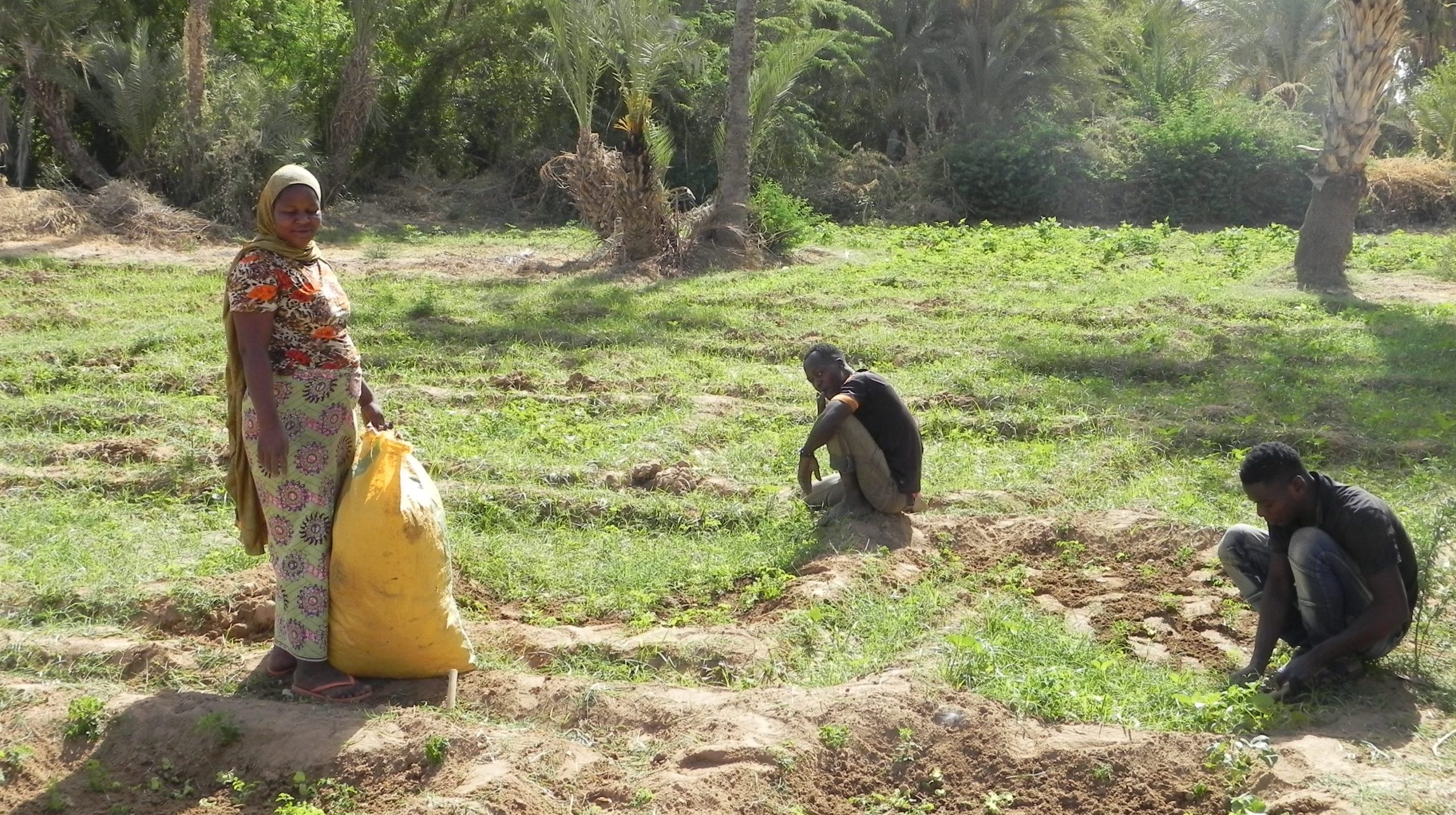 Il piano d’azione della piattaforma migrazione sicura a sostegno dei diritti dei lavoratori migranti e delle loro famiglie