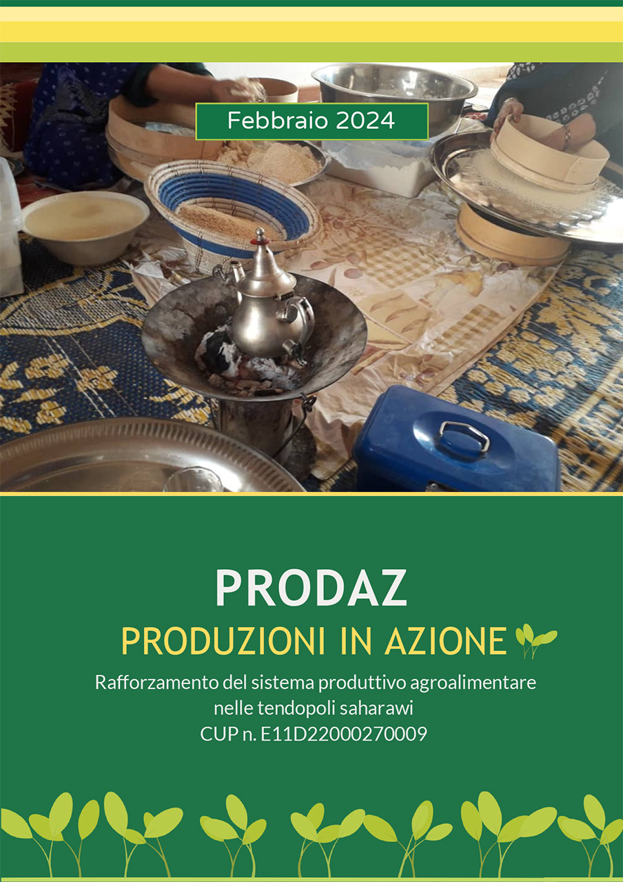 Progetto: PRODAZ. PRODUZIONE IN AZIONE – Brochure n. 2 – Febbraio 2024
