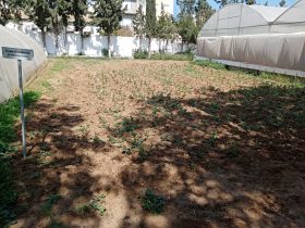 foto-parcella-didattica-formazione-agroecologia01