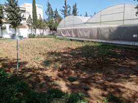 foto-parcella-didattica-formazione-agroecologia02