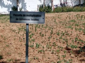 foto-parcella-didattica-formazione-agroecologia03