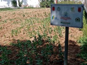 foto-parcella-didattica-formazione-agroecologia04