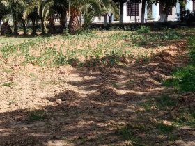 foto-parcella-didattica-formazione-agroecologia05