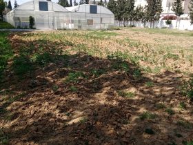 foto-parcella-didattica-formazione-agroecologia06