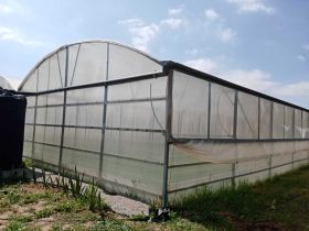 foto-parcella-didattica-formazione-agroecologia07