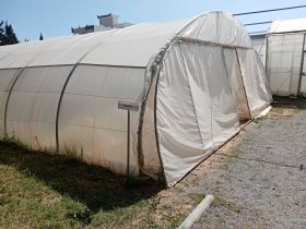 foto-parcella-didattica-formazione-agroecologia08