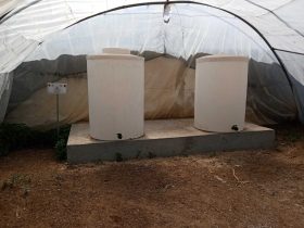 foto-parcella-didattica-formazione-agroecologia12