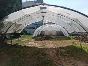 foto-parcella-didattica-formazione-agroecologia13