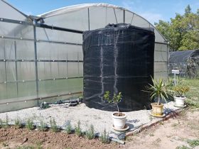 foto-parcella-didattica-formazione-agroecologia15