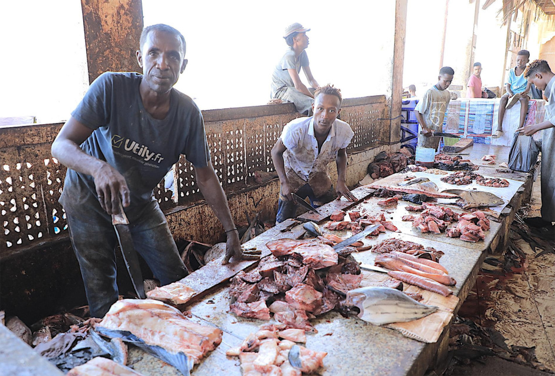Bollettino n. 5 – progetto “I.N.FORMA.L. – Istruire, Normare, FORMAre, Lavorare. Dall’informale al formale per la crescita inclusiva, la pace e il dialogo sociale in Somalia”- AID 012590/03/0