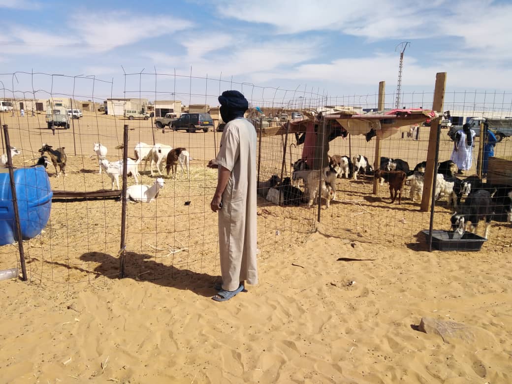 CAMPAGNA DI SENSIBILIZZAZIONE E PREVENZIONE DELLA BRUCELLOSI NEI CAMPI PROFUGHI SAHARAWI