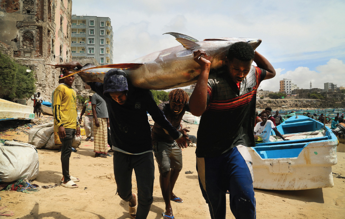 Bollettino n. 6 – progetto “I.N.FORMA.L. – Istruire, Normare, FORMAre, Lavorare. Dall’informale al formale per la crescita inclusiva, la pace e il dialogo sociale in Somalia”- AID 012590/03/0