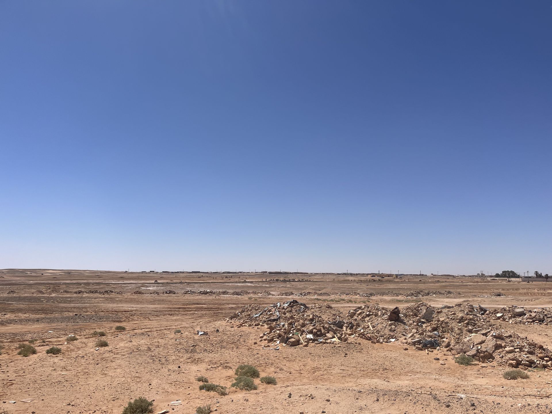 Missione nei campi profughi Saharawi con la delegazione della Regione Emilia Romagna