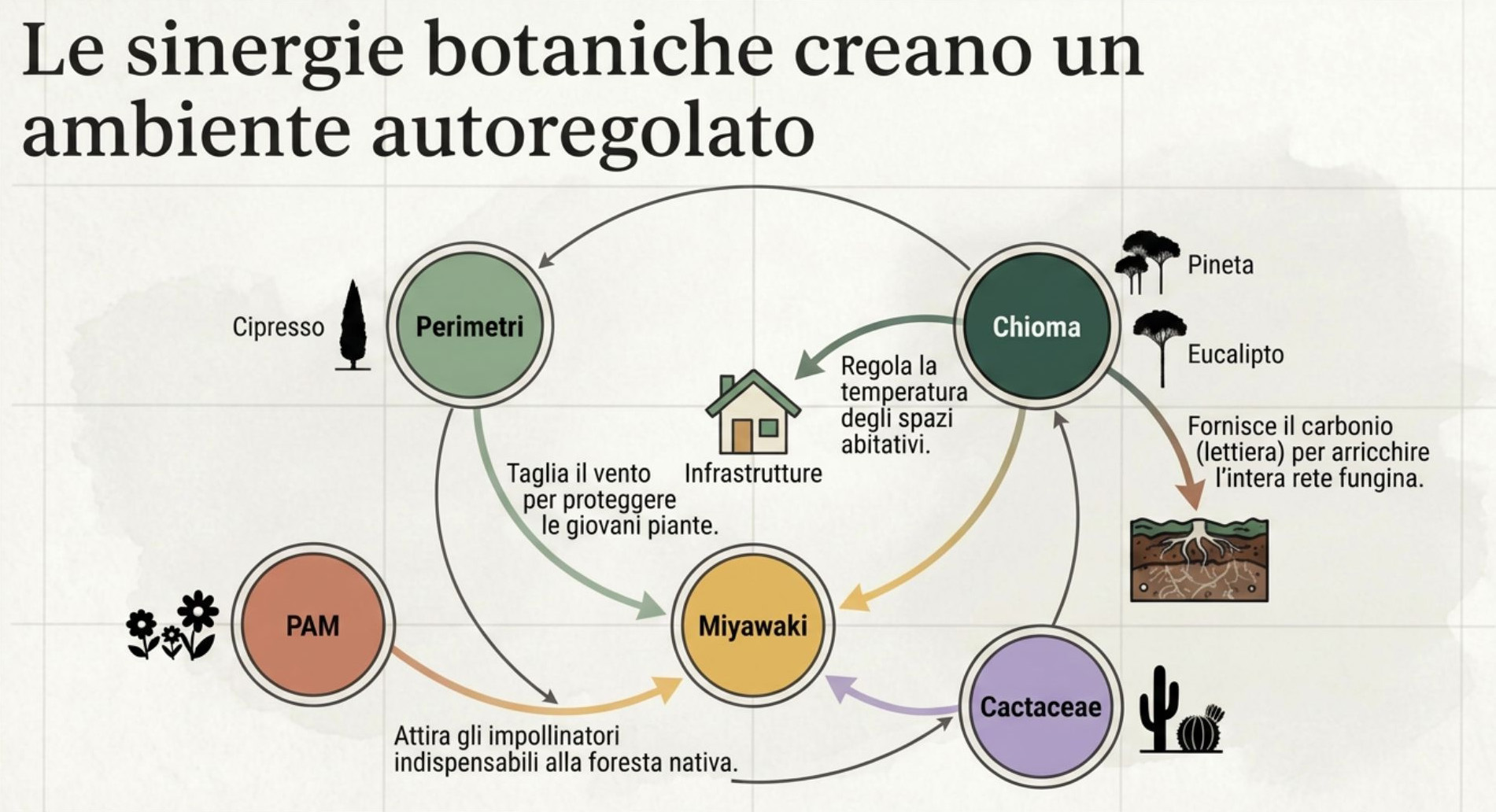 REGENERACTION – Il nostro impegno per la rigenerazione ecologica in Tunisia