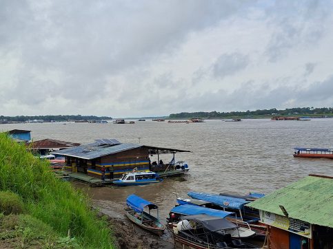 transizione Giusta e Difesa-amazzonia-nexus1